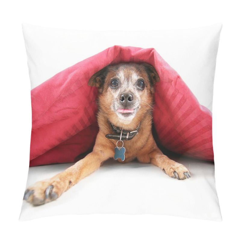 Personality  Chihuahua Under The Covers Pillow Covers