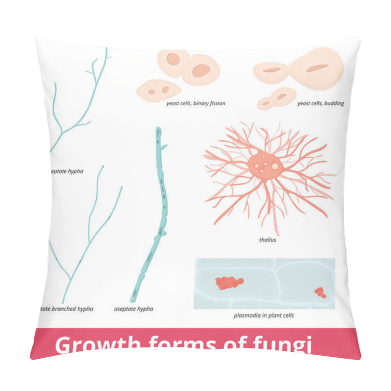 Personality  Neuromuscular Junction. A Synaptic Connection Between The Terminal End Of A Motor Nerve And A Muscle. Presynaptic (nerve Terminal), Postsynaptic Part, Synaptic Cleft. Pillow Covers