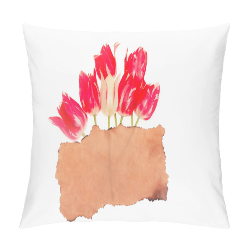 Personality  Red Tulip Isolated On White Background Pillow Covers