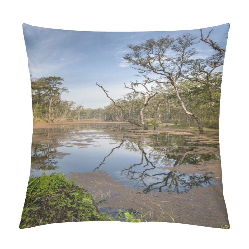 Personality  Deep Forest In Nepal Jungle (Chitwan). Pillow Covers