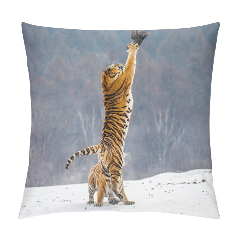 Personality  Siberian Tiger Hunting Prey Fowl In Jump In Winter, Siberian Tiger Park, Hengdaohezi Park, Mudanjiang Province, Harbin, China.  Pillow Covers