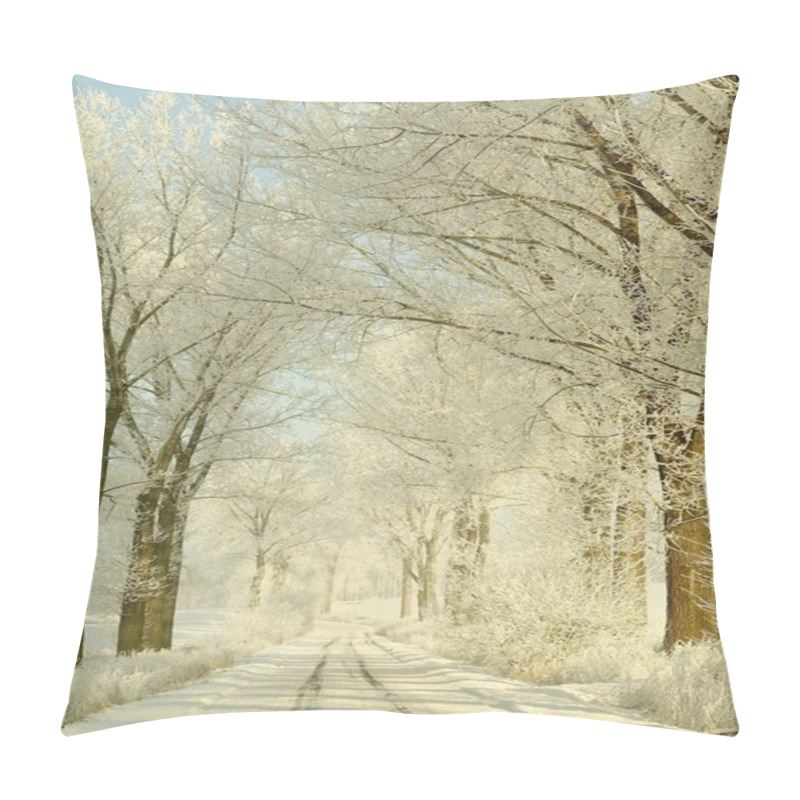 Personality  Scenic Winter Lane Pillow Covers