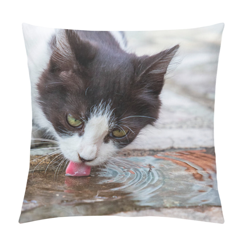 Personality  Cute Cat Drinks Water. Close Up Pillow Covers