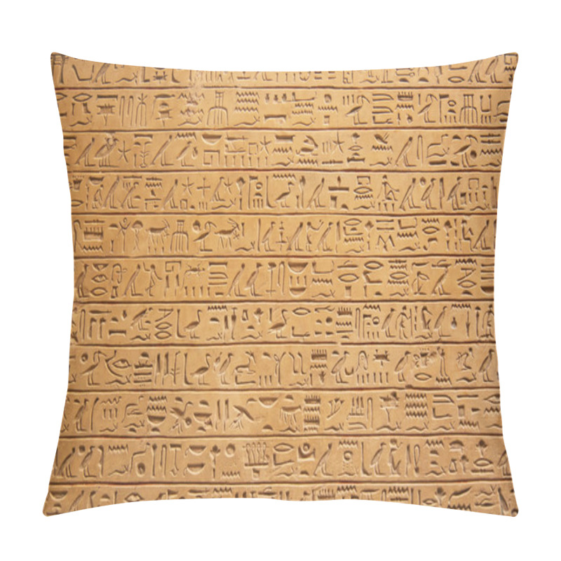 Personality  Egyptian Hieroglyphs On The Wall  Pillow Covers