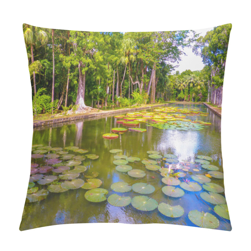 Personality  Sir Seewoosagur Ramgoolam Botanical Garden Pillow Covers