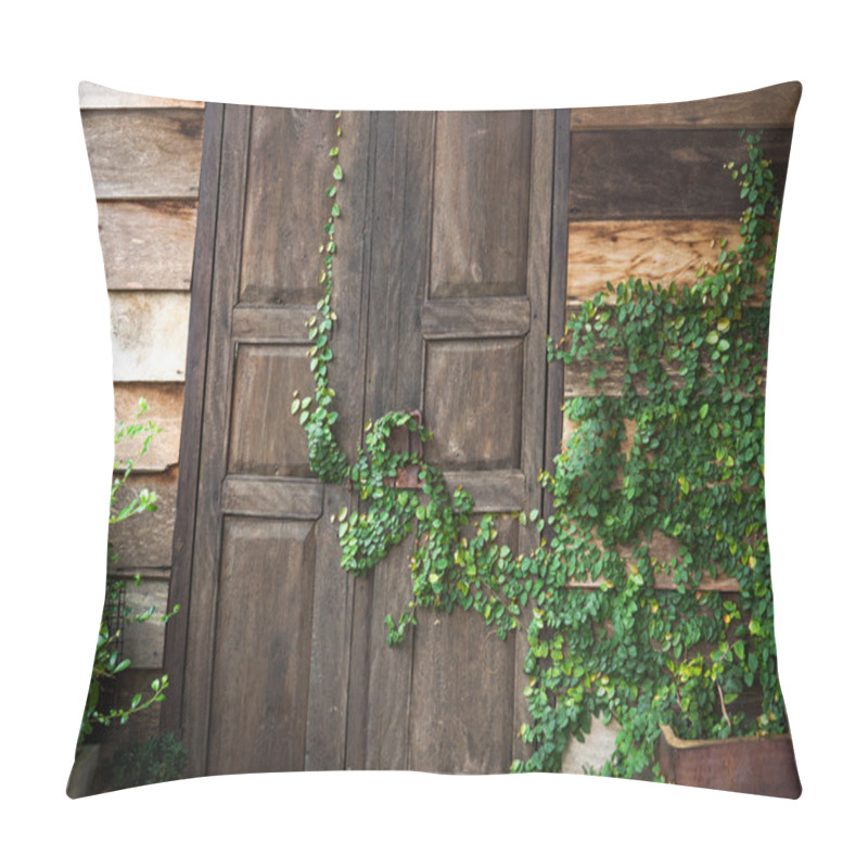 Personality  Creeper Plants On A Wooden Door Pillow Covers