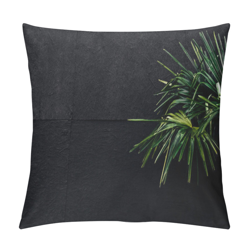 Personality  Green Palm Tree Near Black Wall In Batumi Pillow Covers