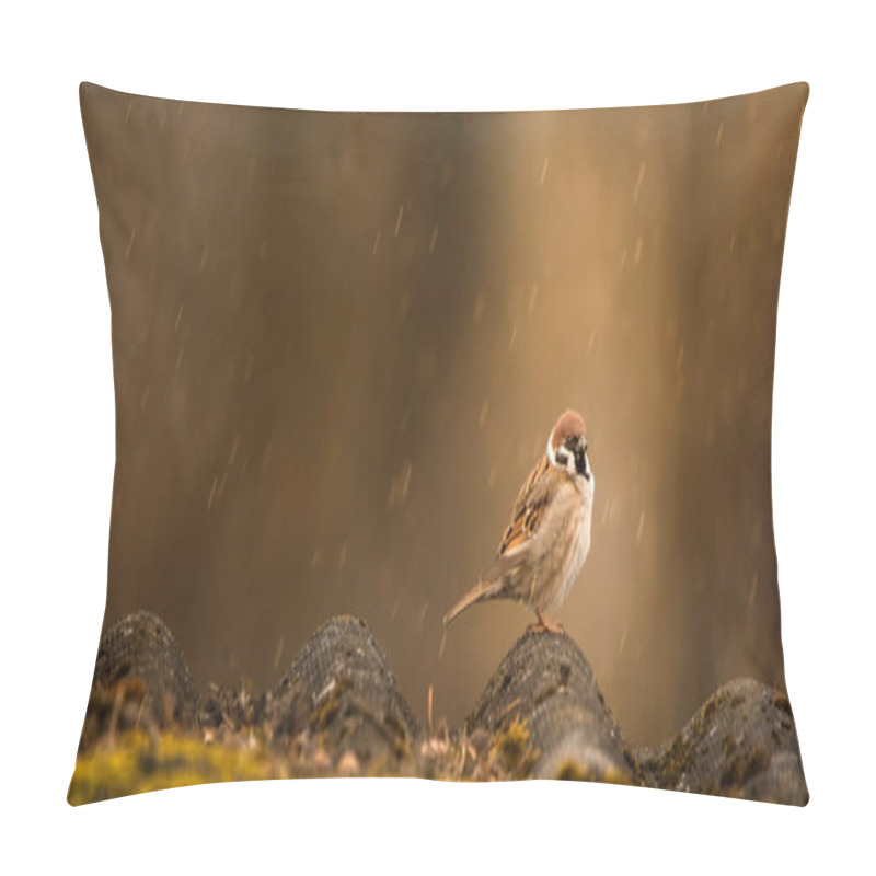 Personality  A Sparrow Sits On An Old Slate Roof. Autumn Concept. Pillow Covers