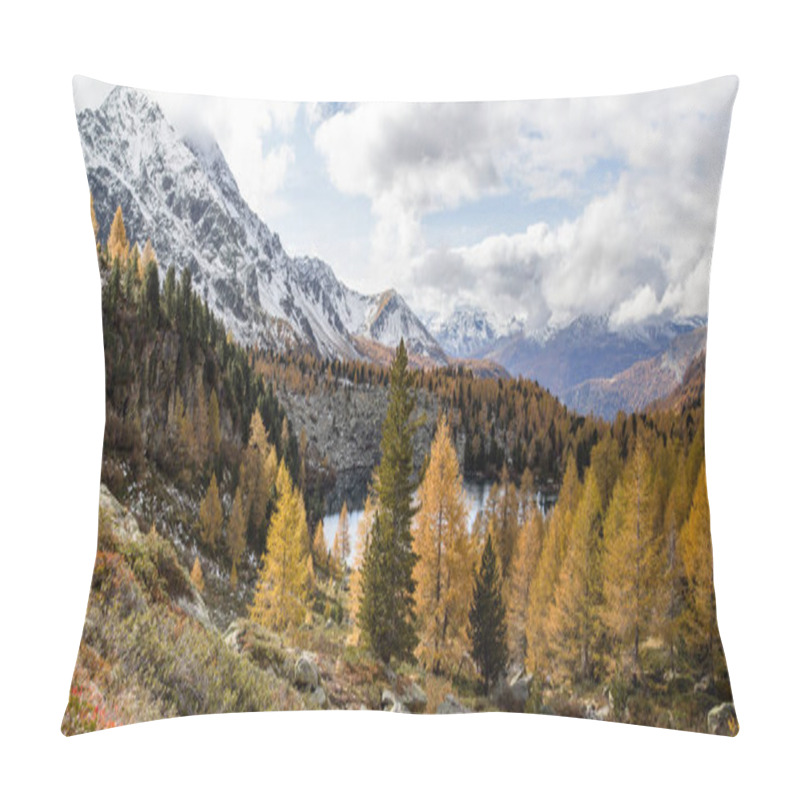 Personality  Autumn Season With Golden Larche Trees Over Lake Viola In The Campo Valley In Grisons, Switzerland Pillow Covers