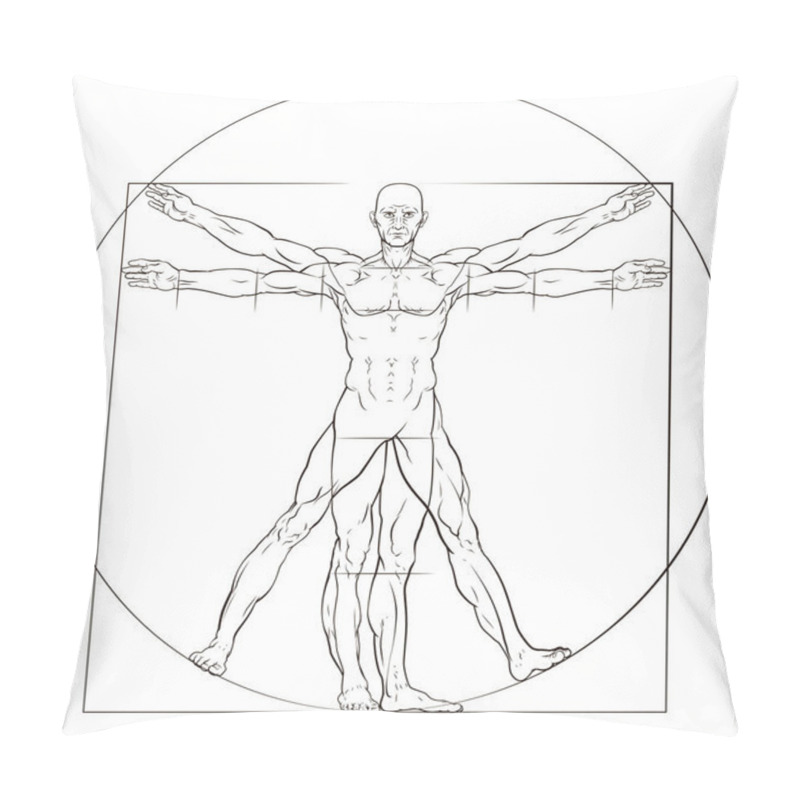 Personality  A Human Figure Like Leonard Da Vinci S Vitruvian Man Anatomy Illustration Pillow Covers