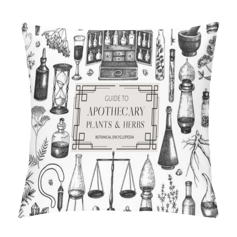 Personality  Antique Apothecary Background Design. Herbal Medicin Hand-drawn Vector Illustrations. Alchemy Sketches. Vintage Chemistry Banner. NOT AI Generated Pillow Covers