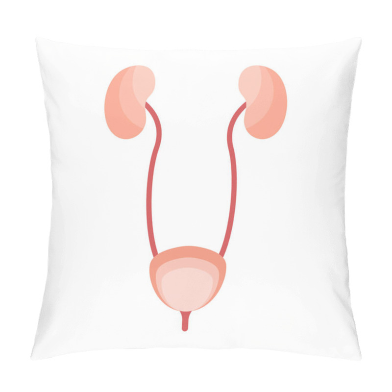 Personality  Urinary System. Kidney And Bladder. Vector Flat Illustration. Perfect For Flyer, Medical Brochure Pillow Covers