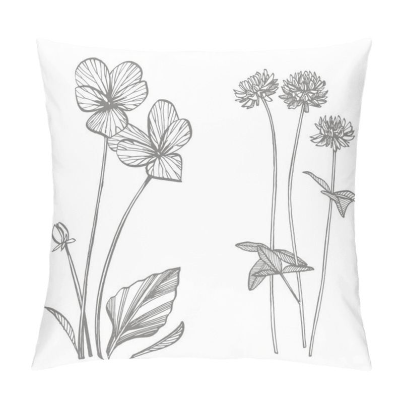 Personality  Pansy And Clover Or Daisy Flower. Botanical Illustration. Good For Cosmetics, Medicine, Treating, Aromatherapy, Nursing, Package Design, Field Bouquet. Hand Drawn Wild Hay Flowers. Pillow Covers