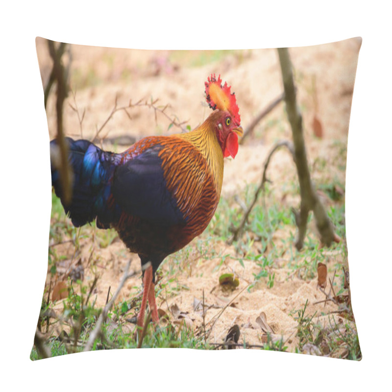 Personality  Beautiful Sri Lankan Jungle Fowl Foraging The Forests Of Yala National Park, Endemic And National Bird Of Sri Lanka. Pillow Covers