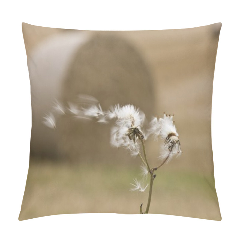 Personality  Dandelion Clock Being Blown In The Wind Pillow Covers