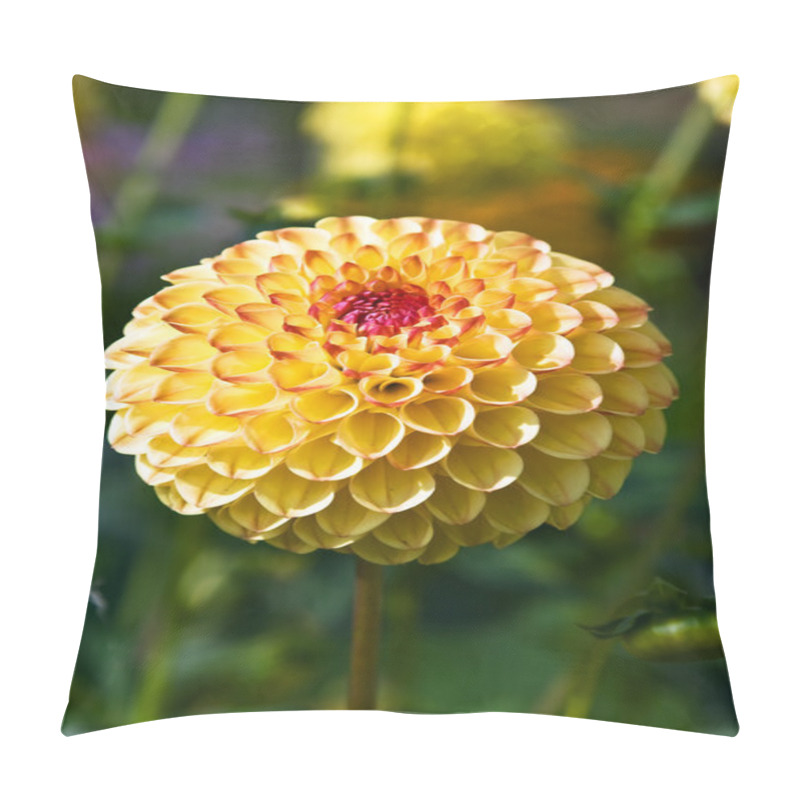 Personality  Dahlia Flower Pillow Covers