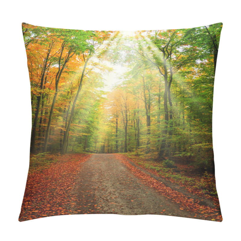 Personality  Forest Path Pillow Covers