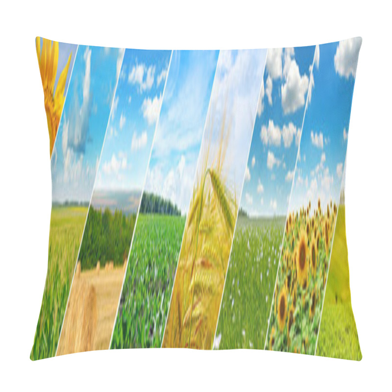 Personality  Panoramic View Of Green Field And Blue Sky With Light Clouds. Pillow Covers