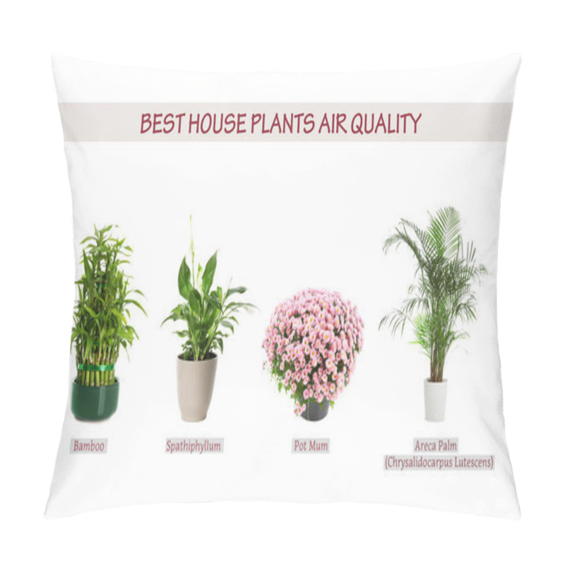 Personality  Set Of Best House Plants For Air Quality Improvement On White Background. Banner Design Pillow Covers