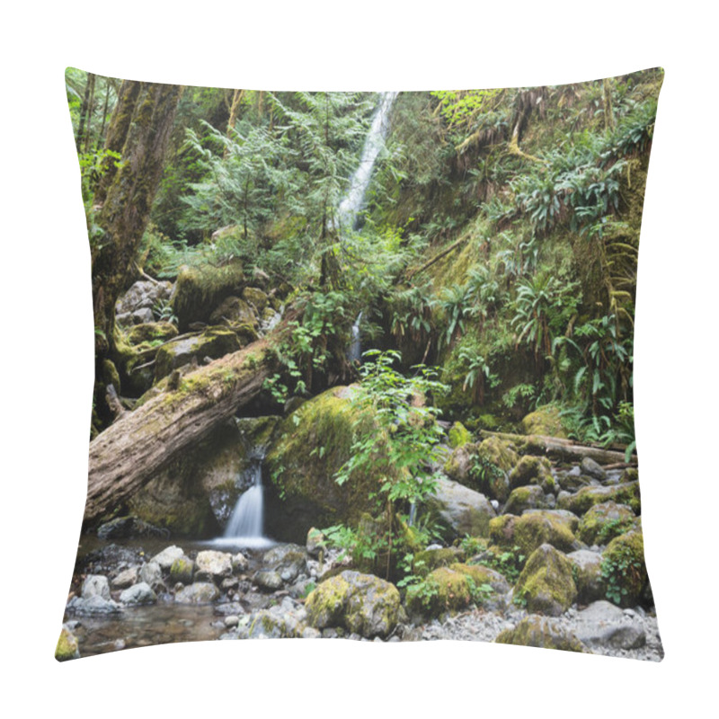 Personality  Merriman Falls In Lake Quinault Valley - Olympic Peninsula, WA, USA Pillow Covers