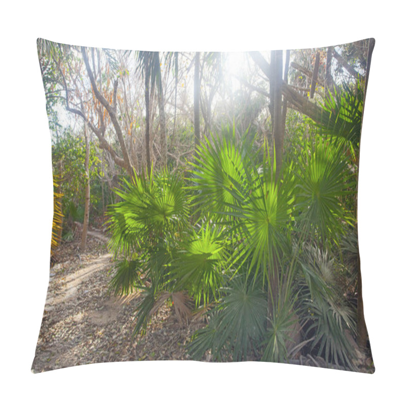 Personality  Early Morning In Park Near Tulum Ruins, Mexico Pillow Covers