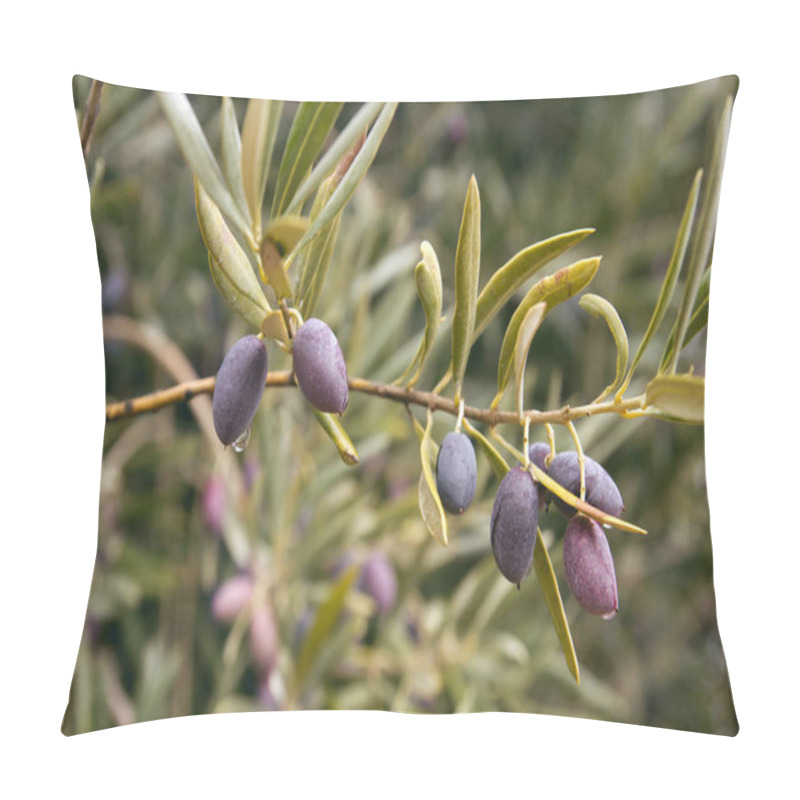 Personality  Olive Tree Fruits Close Up Pillow Covers