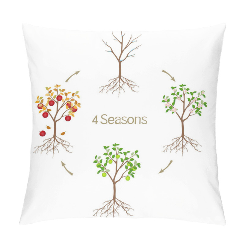 Personality  Four Seasons Apple Tree On A White Background. Pillow Covers