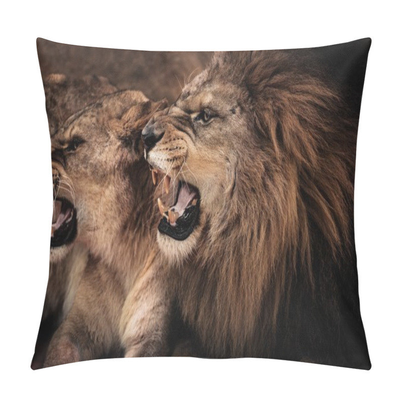 Personality  Close-up Shot Of Roaring Lion And Lioness Pillow Covers