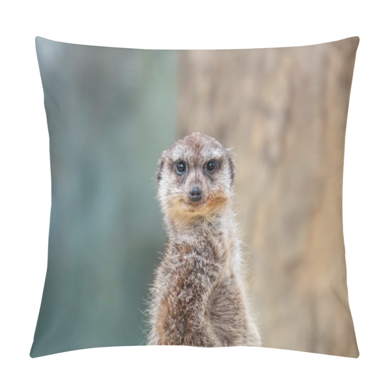 Personality  Funny Ground Squirrel On Blurred Background  Pillow Covers