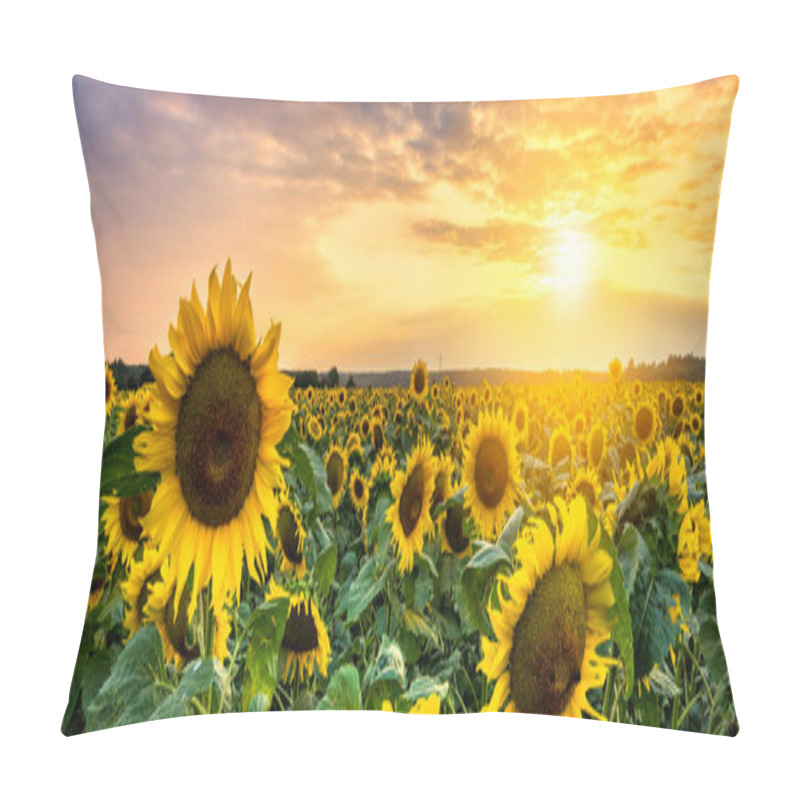 Personality  Beautiful Sunset Over Sunflower Field Pillow Covers