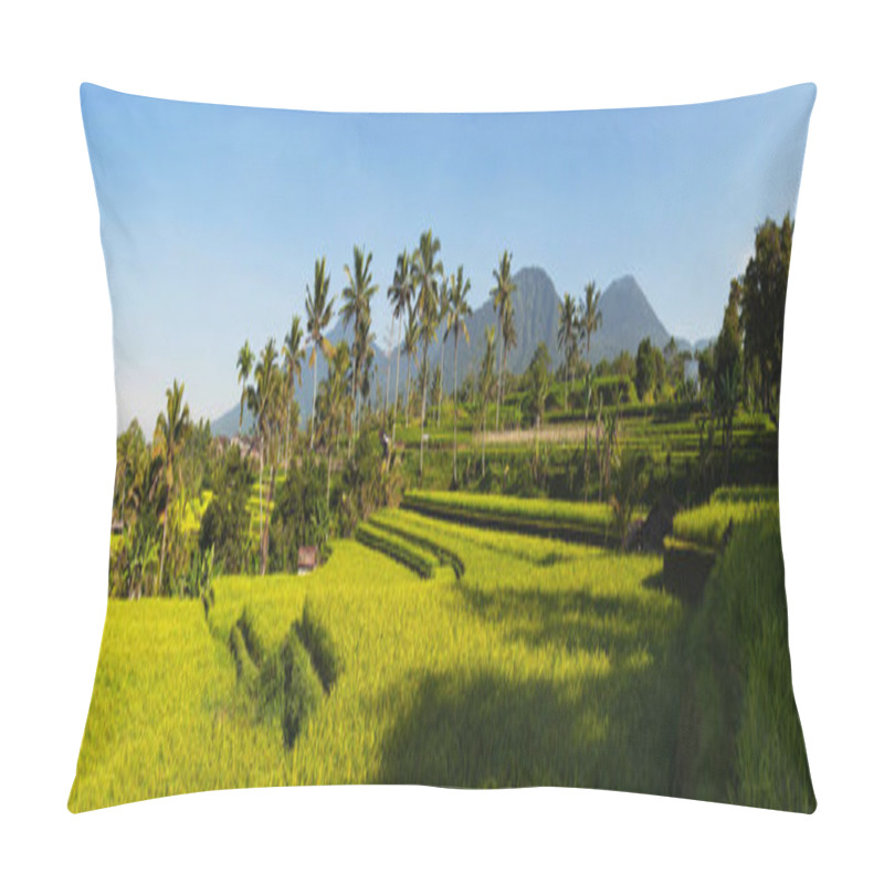 Personality  Panoramic View Of Rice Terraces And Blue Sky, Ubud, Bali, Indonesia. Beautiful Green Young Rice Fields, Natural Beautiful Tropical Background. Rice Farm, Field, Paddy. Travel Concept. Pillow Covers