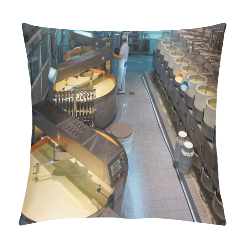 Personality  Processing Area Of Gruyere Cheese Factory Pillow Covers