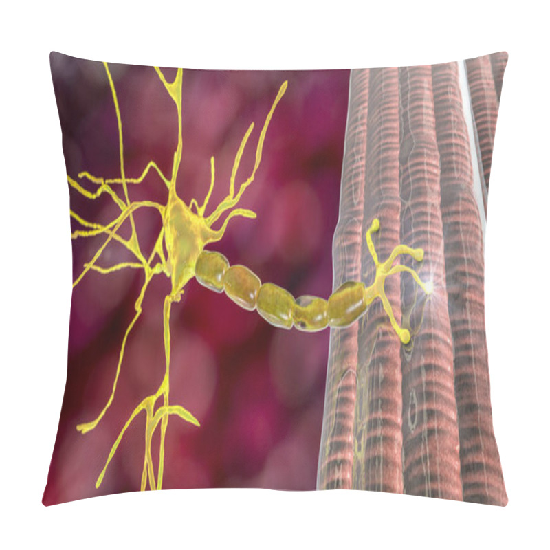 Personality  Motor Neuron Connecting To Muscle Fiber, 3D Illustration. A Neuromuscular Junction Allows The Motor Neuron To Transmit A Signal To The Muscle Causing Contraction. It Is Affected By Toxins And Diseases Pillow Covers