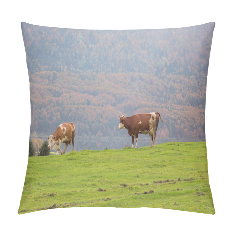 Personality  Cows Grazing In Alpine Meadows Pillow Covers