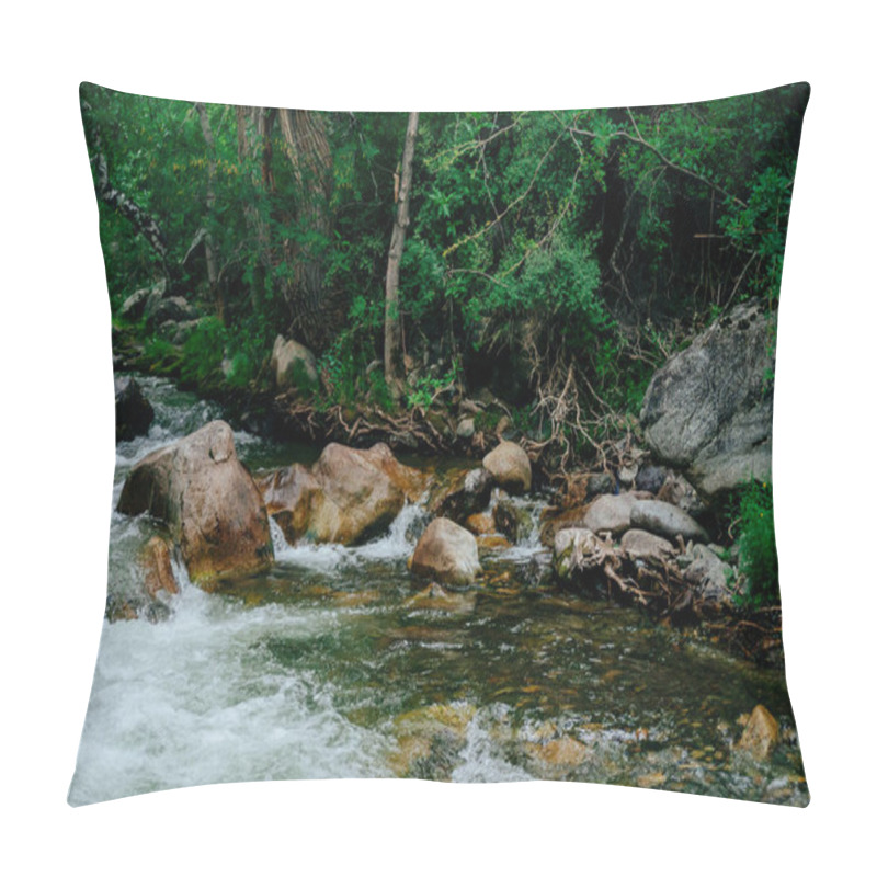 Personality  Scenic Landscape With Beautiful Mountain Creek With Green Water Among Lush Thickets In Forest. Idyllic Green Scenery With Small River And Rich Greenery. Green Water In Mountain Brook Among Wild Flora. Pillow Covers