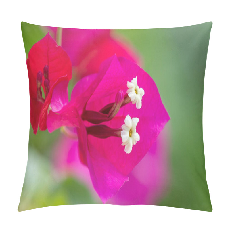 Personality  A Close-up Of Bougainvillea Spectabilis Flowers, Close-up, Nature Pillow Covers