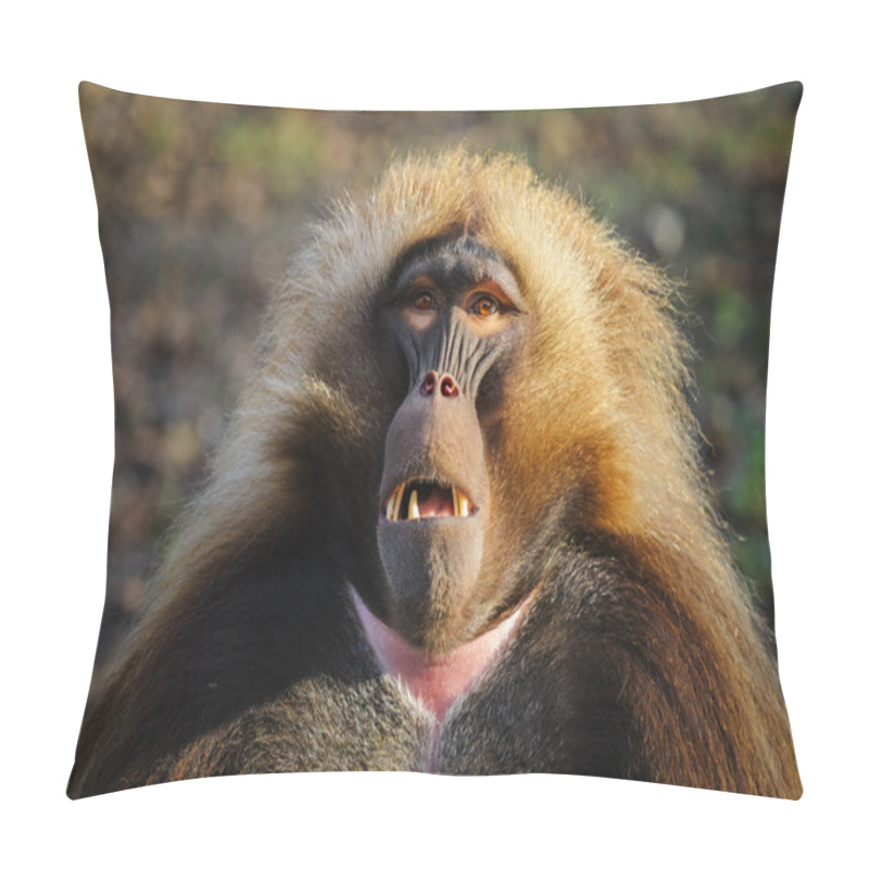 Personality  Portrait Of Gelada Baboon At The Zoo, Germany Pillow Covers