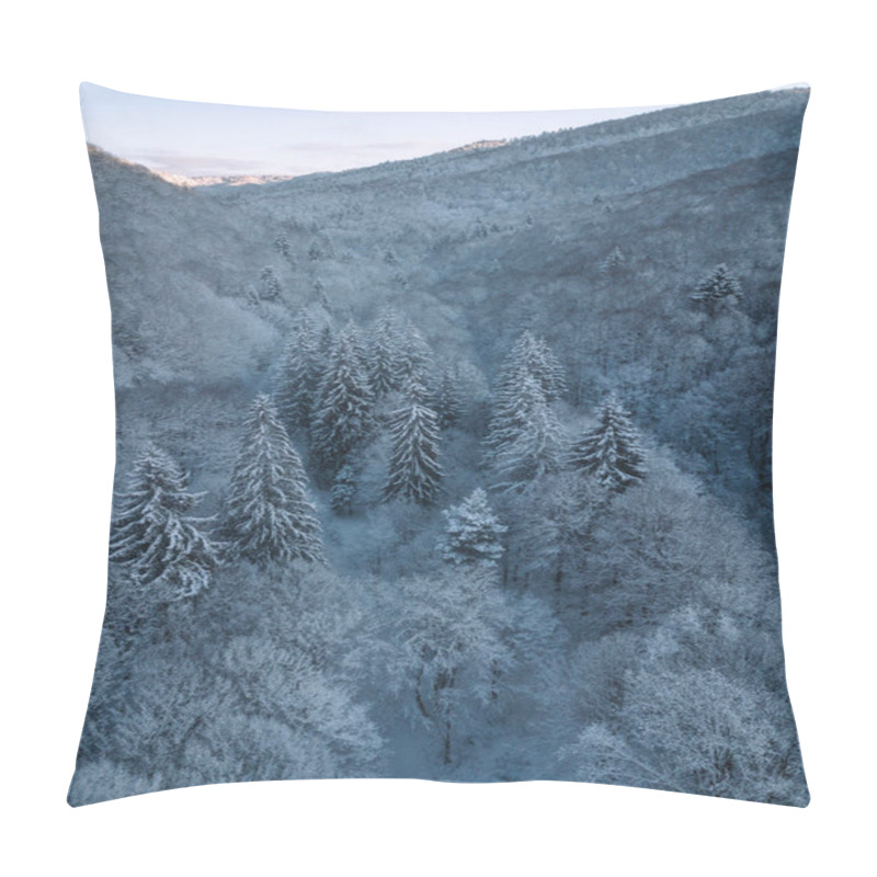 Personality  Spruce Forest, Beautiful Aerial Top View. Amazing Snowy Scene. Christmas Theme. Winter Nature Concept. Pillow Covers