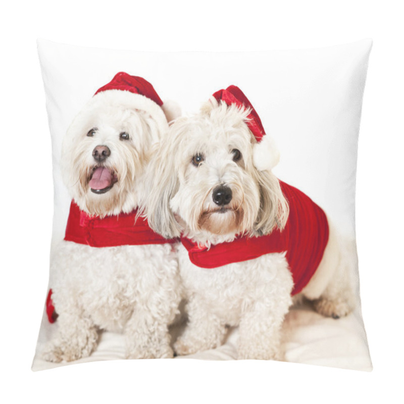 Personality  Two Cute Dogs In Santa Outfits Pillow Covers