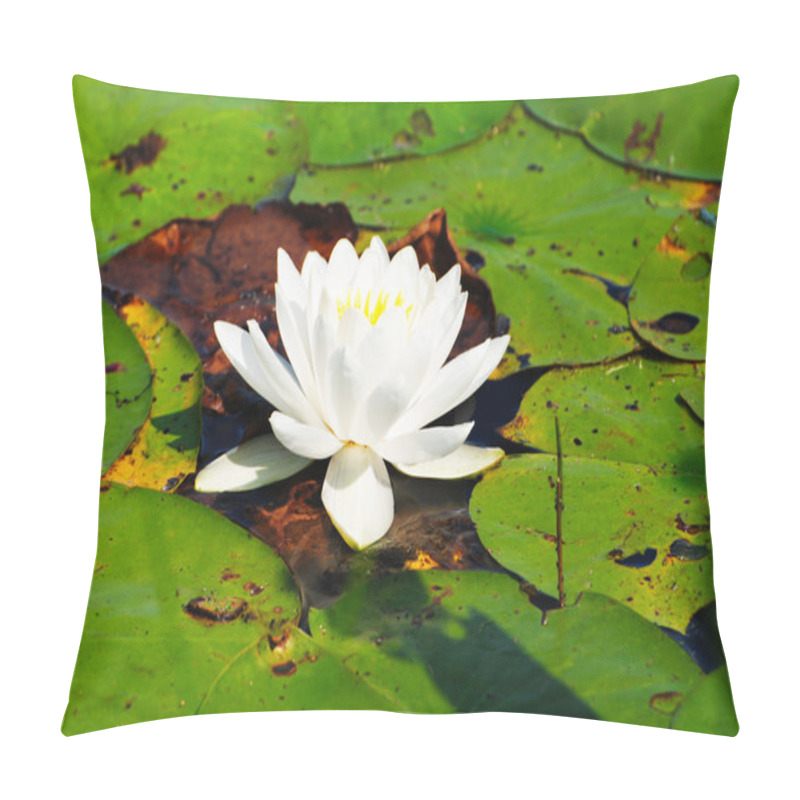 Personality  White Water Lily Surrounded By Lily Pads Pillow Covers