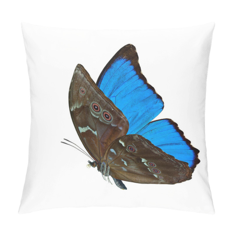 Personality  Beautiful Flying Blue Butterfly, The Blue Morpho Isolated On White Background, Amazing Nature Pillow Covers