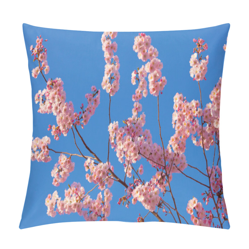 Personality  Spring Sakura Blossom Pillow Covers