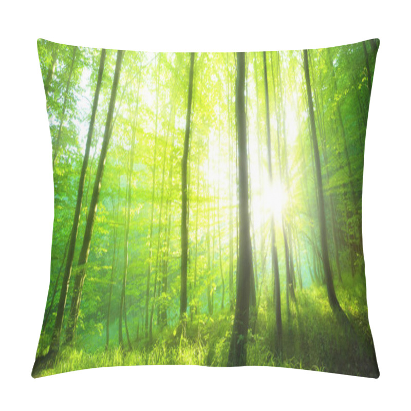 Personality  Sunlight In The Green Forest, Spring Time Pillow Covers