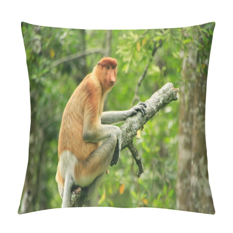 Personality  Proboscis Monkey Sitting On A Tree, Borneo, Malaysia Pillow Covers