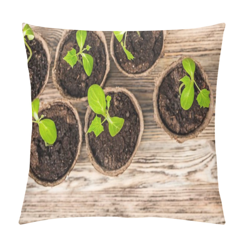 Personality  Seedling. Pillow Covers