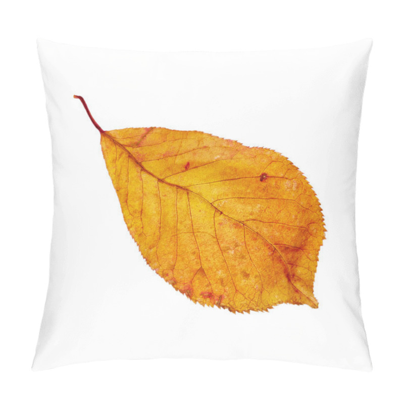 Personality  Autumn Leaf Pillow Covers