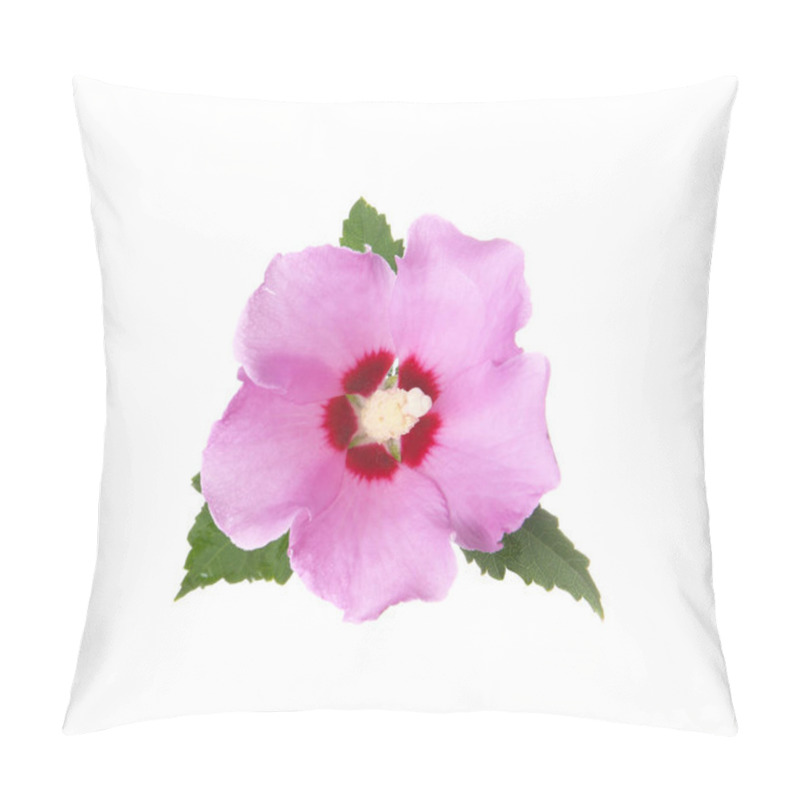 Personality  Beautiful Tropical Hibiscus Flower On White Background Pillow Covers