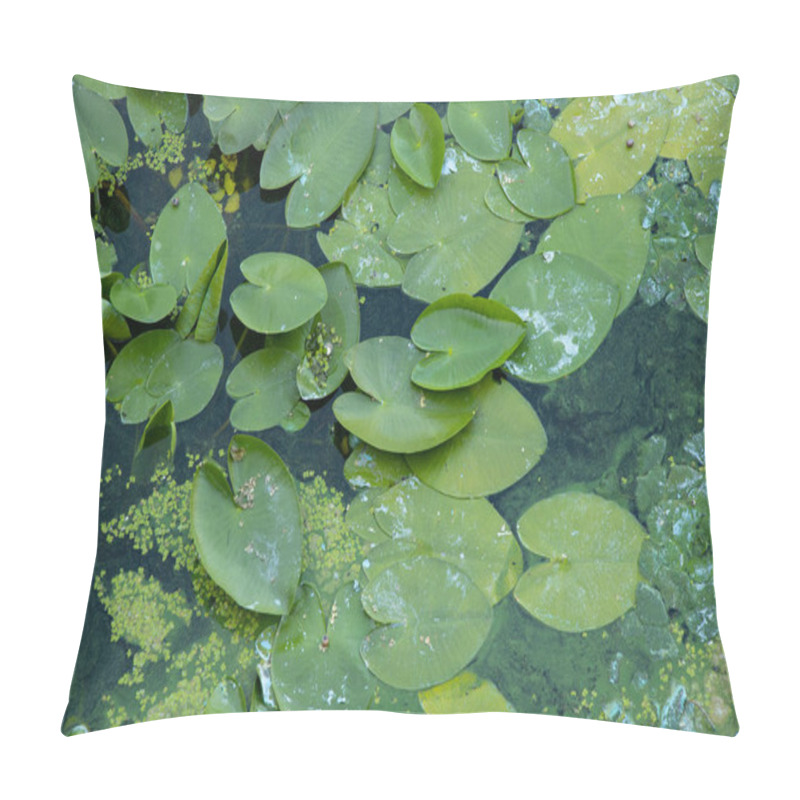 Personality  Water Lilies On River Water As A Background In Summer In Ukraine Close-up, Environment Pillow Covers