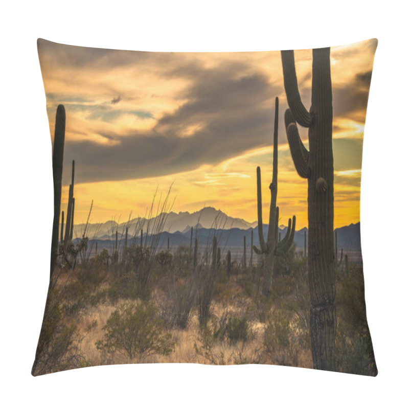 Personality  Tucson Arizona Saguaro National Park. Vibrant Desert Sunset. Arizona Desert Southwest Travel Background. Pillow Covers