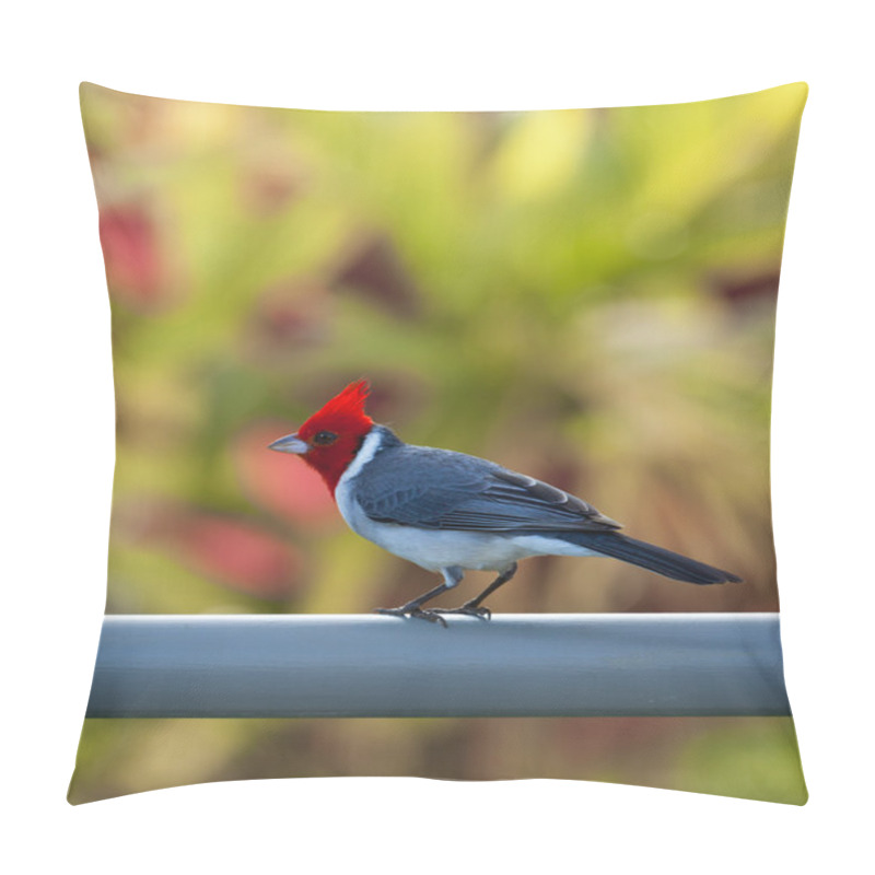 Personality  Red Crested Cardinal On Fence In Kauai Pillow Covers